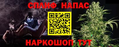 СК Лесосибирск
